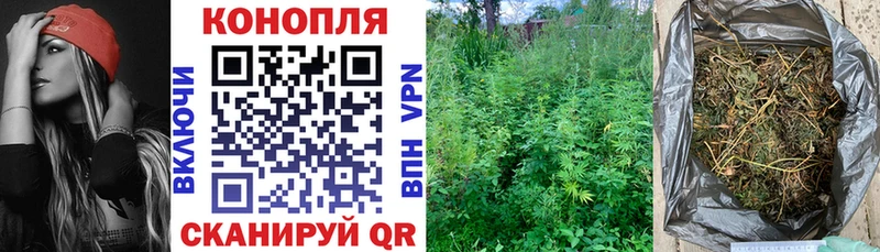 где продают наркотики  Качканар  Бошки марихуана Amnesia 